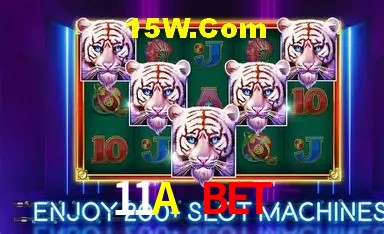 Experiência VIP 11A Bet